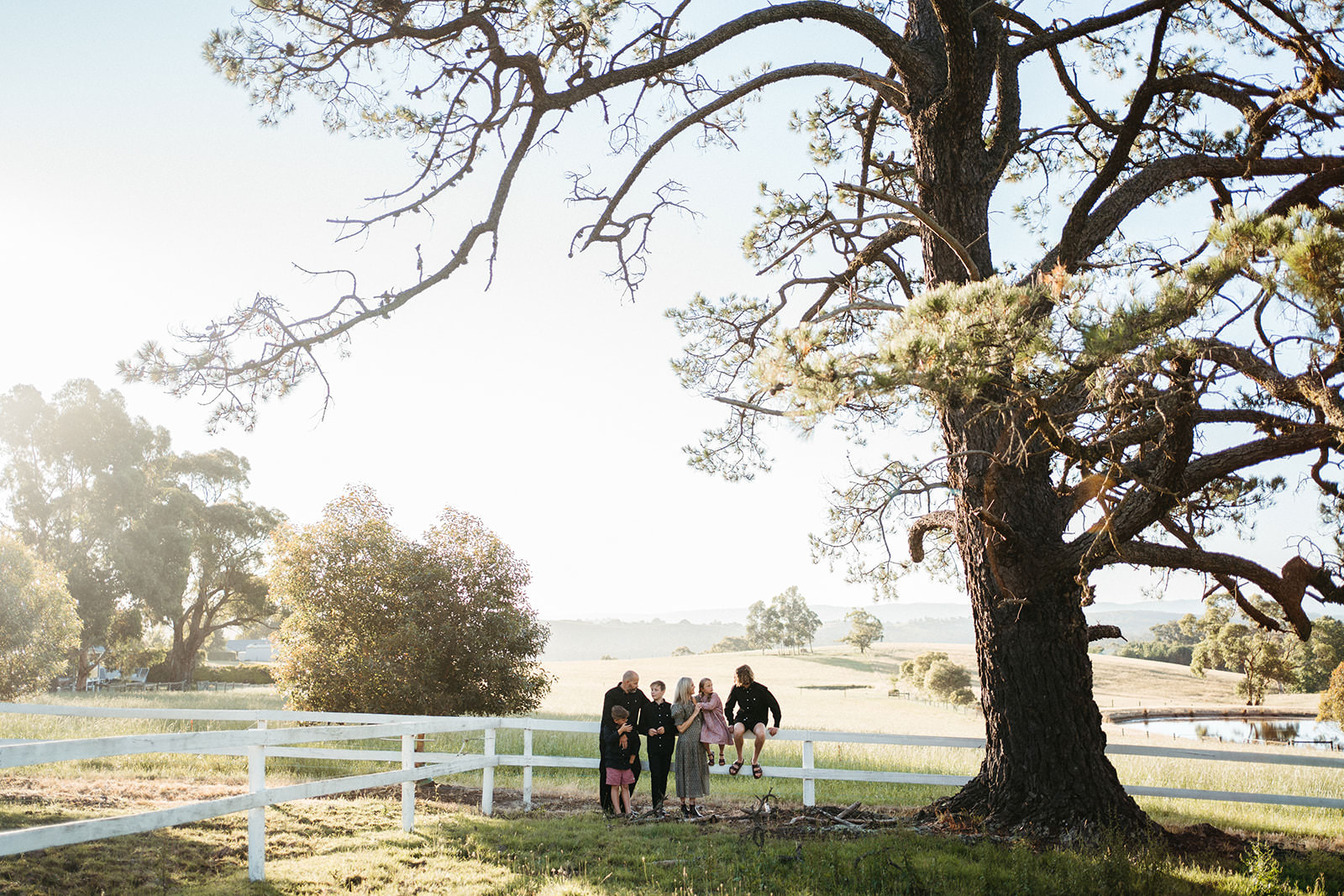 a distance photo of a family near a fence and a large tree outdoors on a farm in Healesville