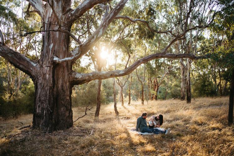 a family of three sits backlit in the Australian bush near a very large gum tree the sun is peeking through