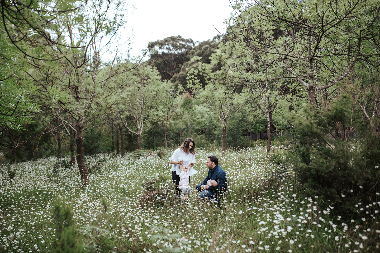 a young family in the dandenong ranges, in the outer east of melbourne in a field of daisies