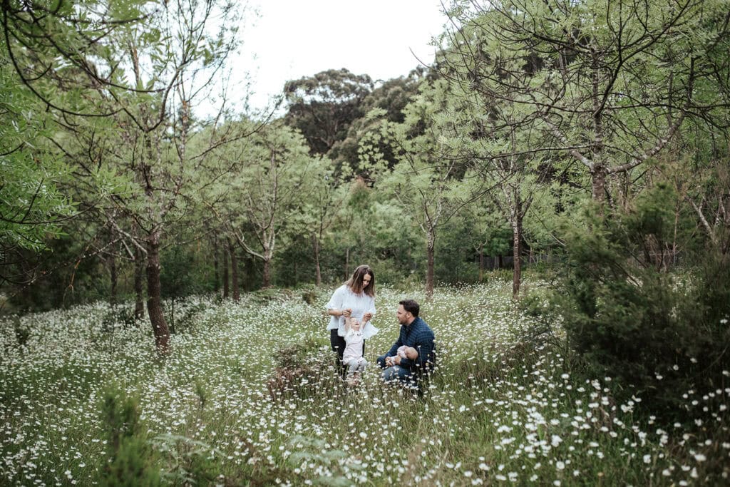 a family play in daisies in rj hamer arboretum mt dandenong olinda