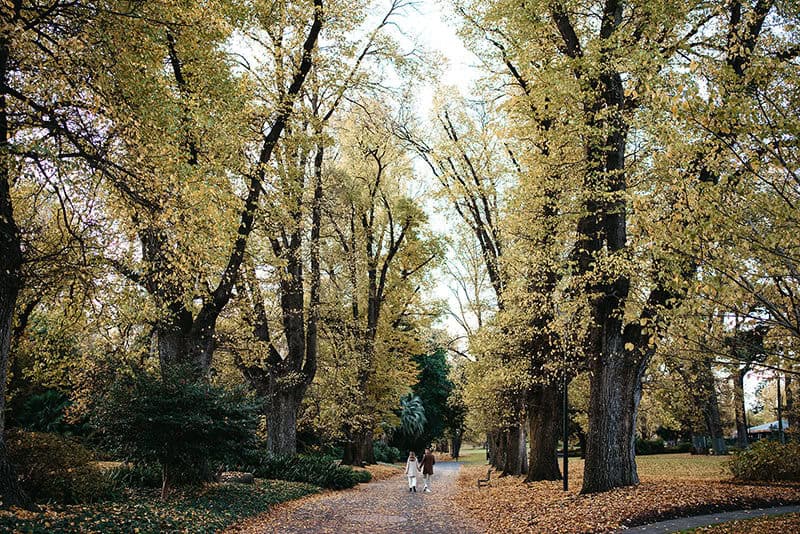 a couple walk in autumn leaves in fitzroy gardens melbourne